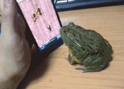 ˱ЦͼƬ