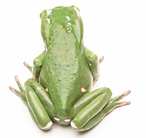 ͼƬȫ