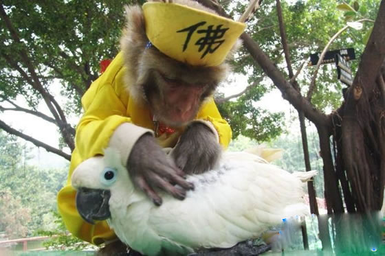 ӸЦͼƬ