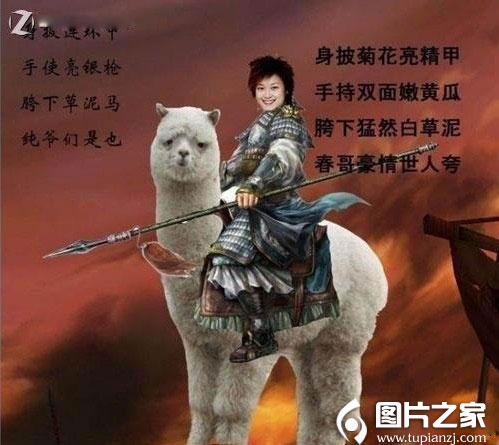 ЦͼƬ