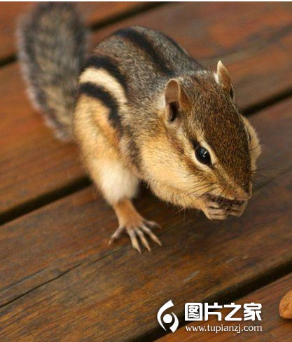 ͼƬ