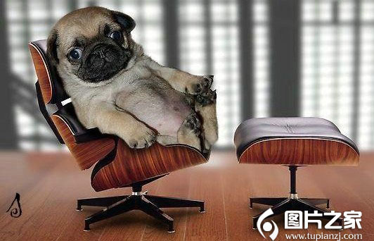 ЦͼƬ