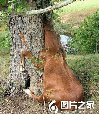 һֻСںͷУȴòˣϸĵ˷ʼӪ