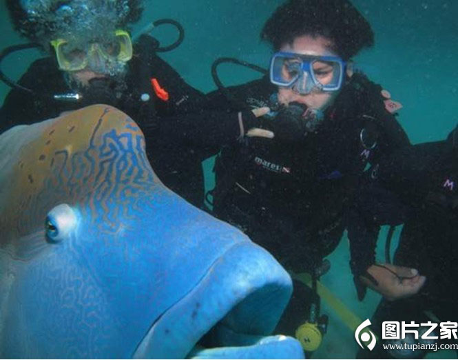 Ϯ˸Ц˲