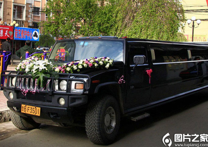 ӭȢʽ