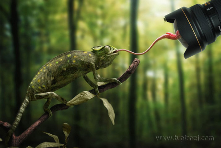 දӰͼƬ