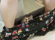 ˱Ц