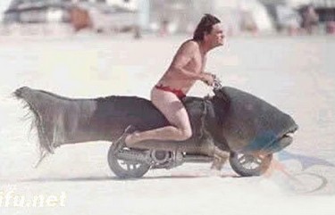 ЦĬЦͼƬ