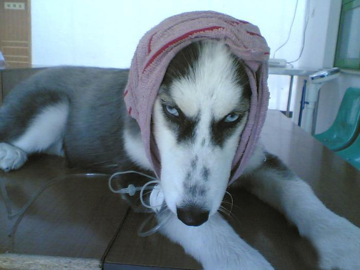 ʿЦͼƬ
