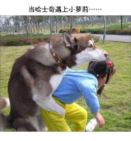 ʿЦͼƬ