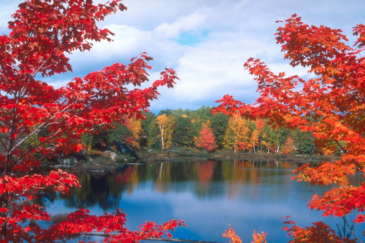 һļ֮ܶΪľɫʧСξ͸һ羰ͼƬͲĿ羰ͼƬҲٵźھȥͿɣ