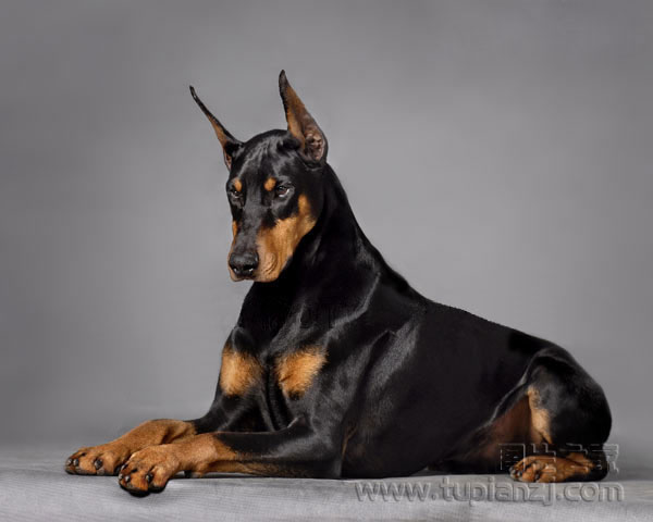 űȮͼƬ
