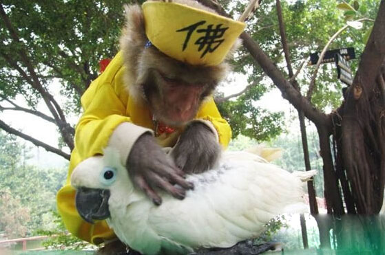 ӸЦͼƬ