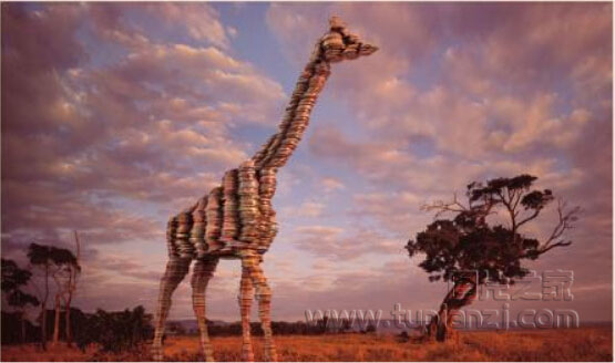 WWF⹫