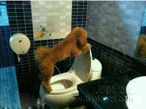 ĬͼƬ