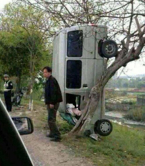 ЦͼƬ