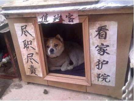 ЦͼƬ