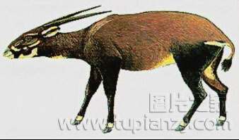 ʾ8·ݣвʡĴ񲶵ֻţشӽȦǲС鼸󵽴ʱֻţ