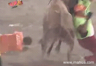 ЦȤζ̬ͼƬ3
