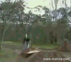 ȶ̬ͼ3
