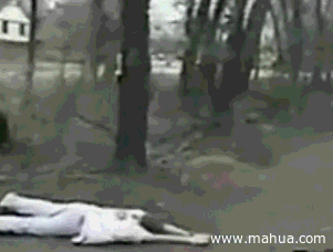 Ц̬ͼƬ5