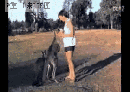 ʹ󲫻³3