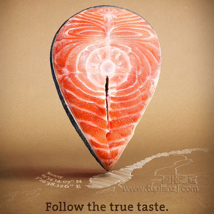 Followfish4
