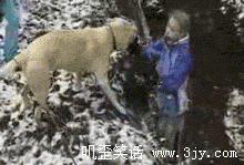ԸЦ̬ͼ3