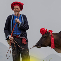 ţӰ