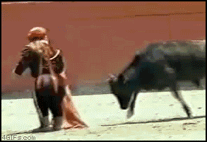ĬЦgif̬ͼ1