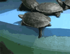 Ļ3