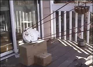 èҲȥ̫տ