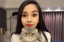 ӱɹ밮è  Pͼ²