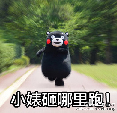 QQkumamon