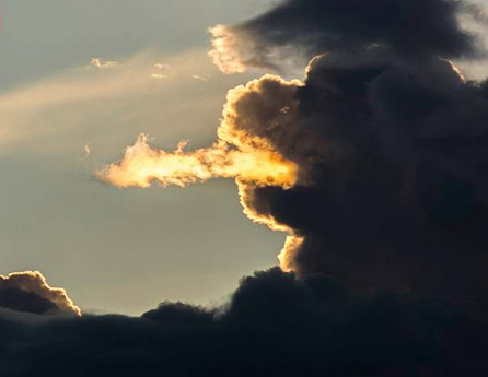 ľ