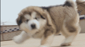 ȶɰ