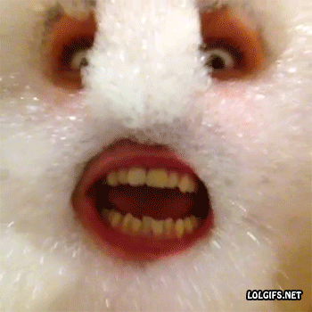 ħԶȸЦ̬ͼ