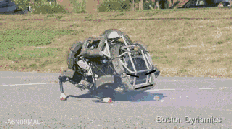 Цgif̬ͼ