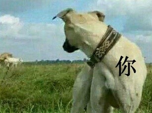 ЦͼƬ