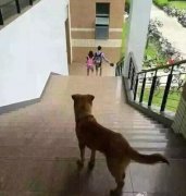 Ϧǲŵĺ