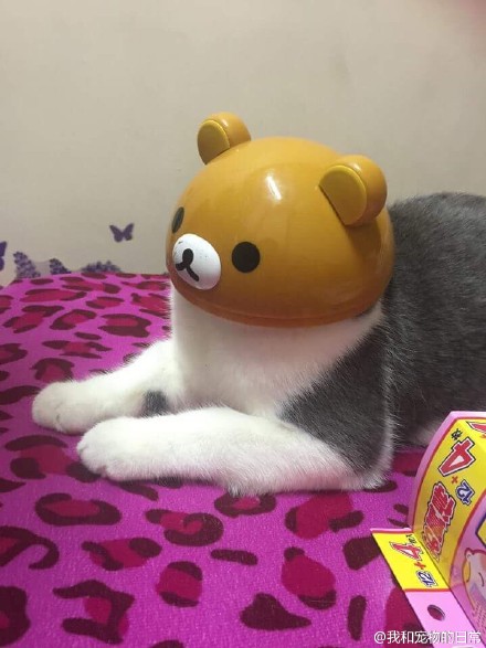 ˸ЦͼƬ