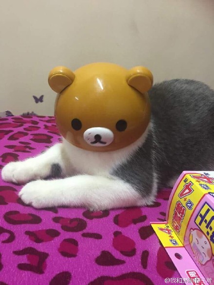 ˸ЦͼƬ