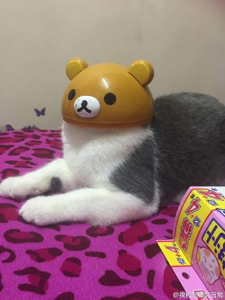 ˸ЦͼƬ