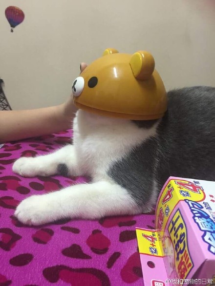 ˸ЦͼƬ