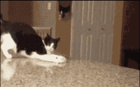 èЦͼ