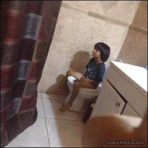 Ц̬ͼ