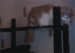 ˧