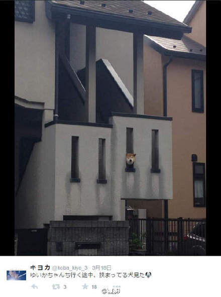 ȮͼƬ