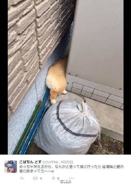 ȮͼƬ