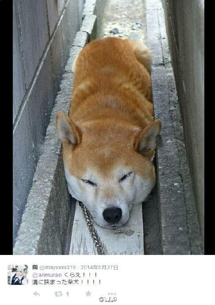 ȮͼƬ
